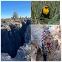 Great Basin Natural History- June 2-5